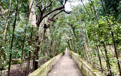 A Springtime Getaway: Florence’s Boboli Gardens